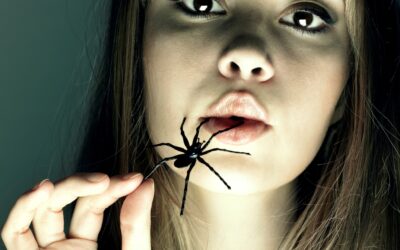 Cómo tratar e identificar las picaduras de araña