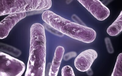 ¿Cómo actúa la legionella?