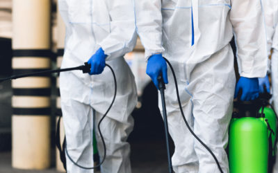 Hisal: una de las mejores empresas de fumigación de Almería