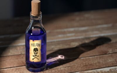 Formas de hacer la fumigación de cucarachas en almería