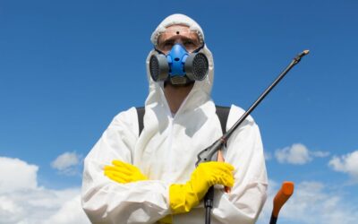 Elige Hisal para un control de plagas efectivo en Almería