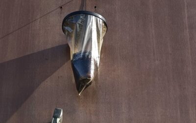 ¿Tienes problemas con insectos voladores en tu hogar o negocio?