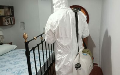 ¡Protege tu Hogar este Verano de Ácaros y otros Microorganismos nocivos!