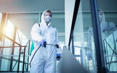 Fumigación Ecológica y Efectiva en Almería con Hisal